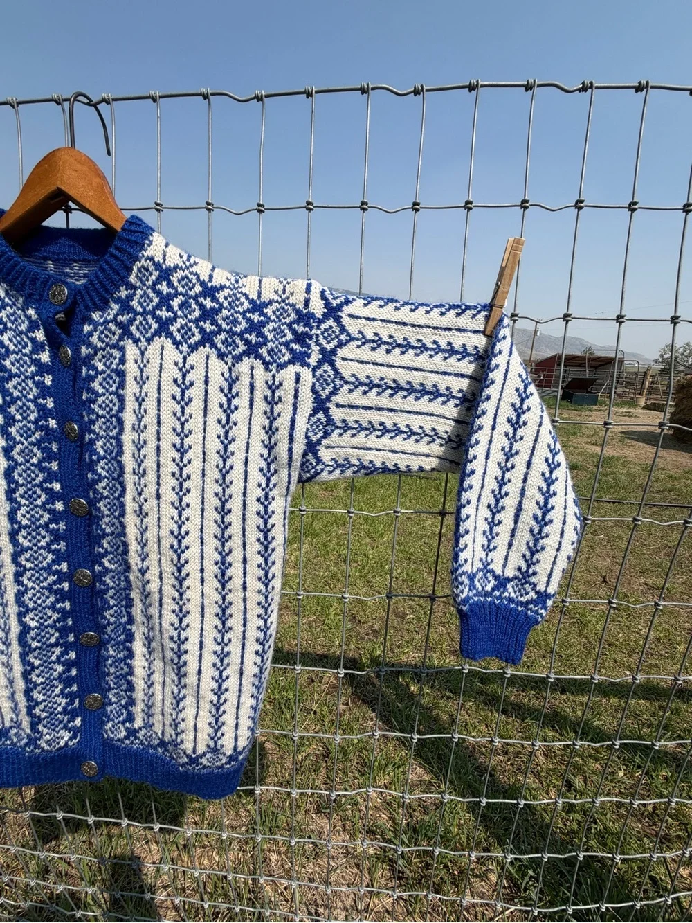 Blue and White Nordic Knit Button-Up Sweater - women’s